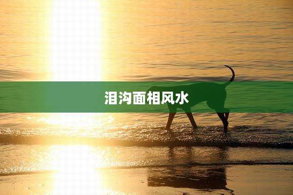 泪沟面相风水