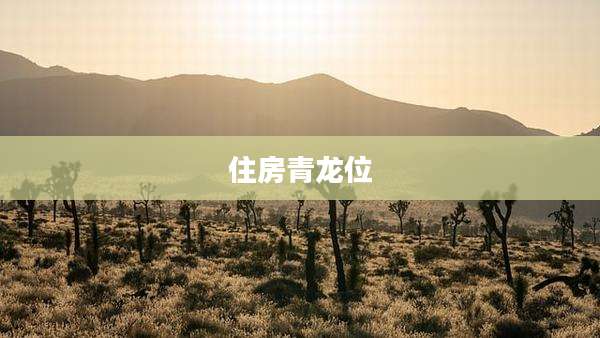 住房青龙位