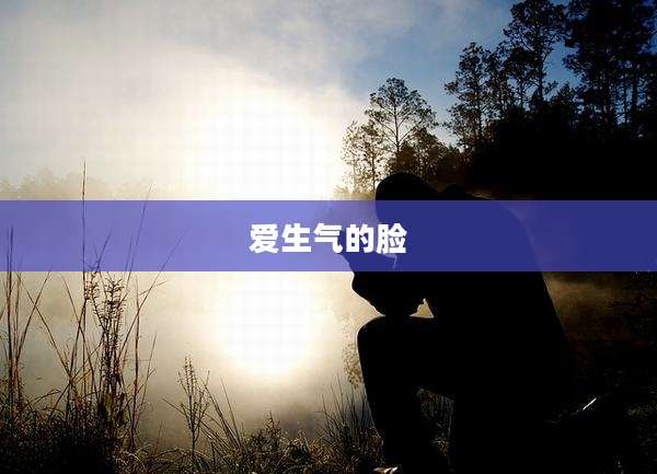 爱生气的脸
