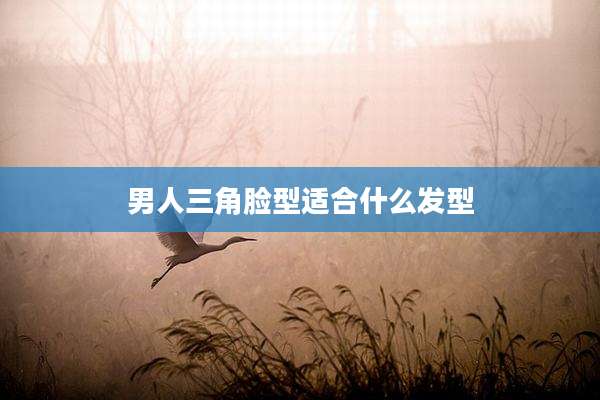 男人三角脸型适合什么发型