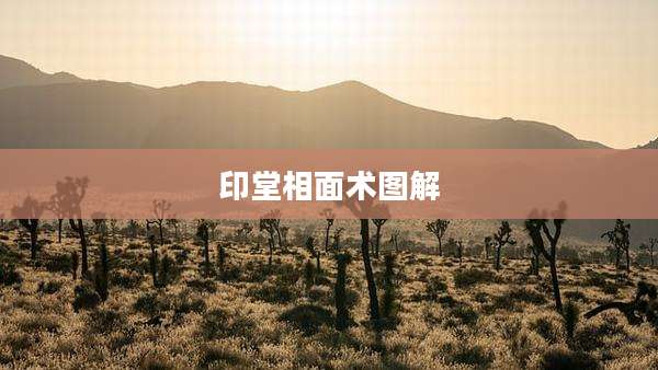 印堂相面术图解