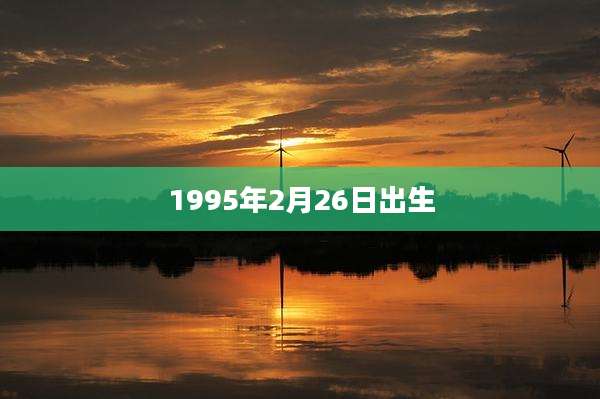 1995年2月26日出生