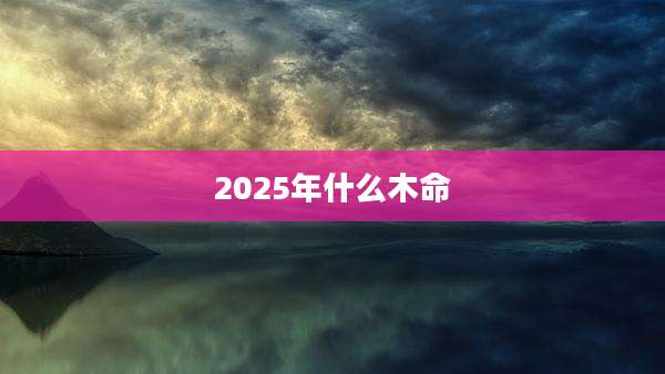2025年什么木命