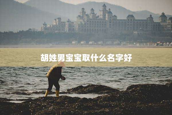 胡姓男宝宝取什么名字好
