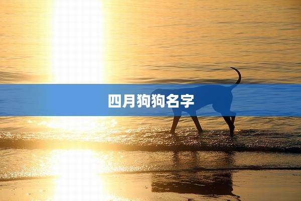 四月狗狗名字