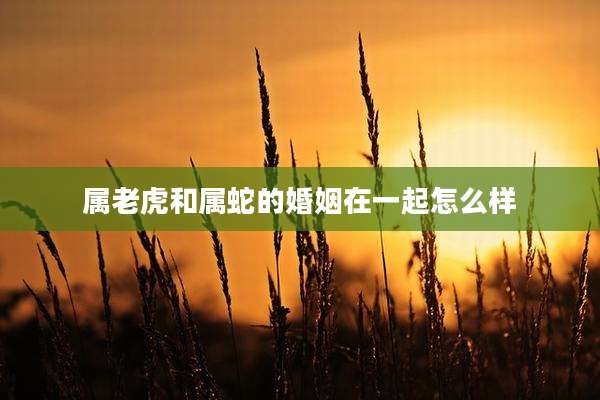 属老虎和属蛇的婚姻在一起怎么样
