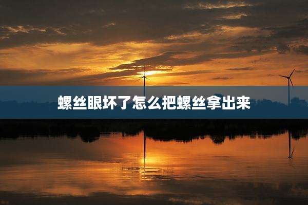 螺丝眼坏了怎么把螺丝拿出来