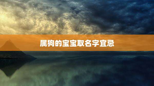 属狗的宝宝取名字宜忌