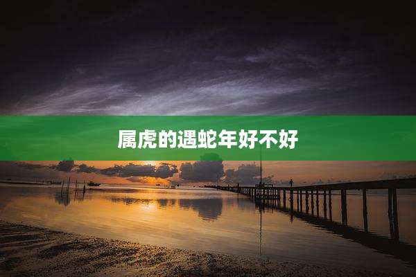 属虎的遇蛇年好不好