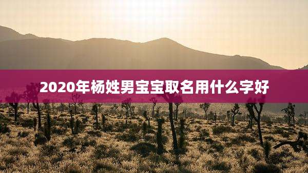 2020年杨姓男宝宝取名用什么字好