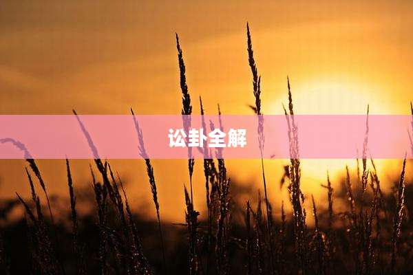 讼卦全解