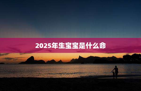 2025年生宝宝是什么命