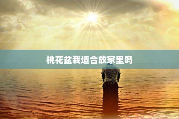 桃花盆栽适合放家里吗