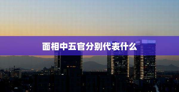 面相中五官分别代表什么