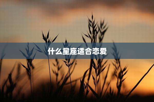 什么星座适合恋爱