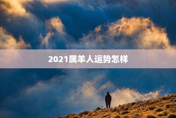 2021属羊人运势怎样