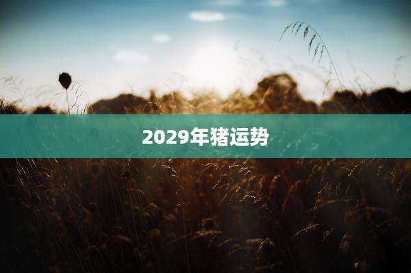 2029年猪运势