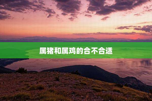属猪和属鸡的合不合适