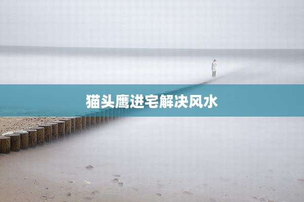 猫头鹰进宅解决风水