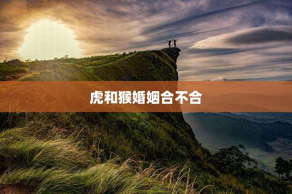 虎和猴婚姻合不合