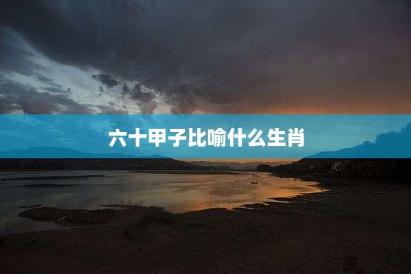 六十甲子比喻什么生肖