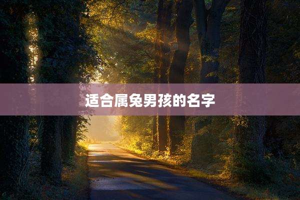适合属兔男孩的名字