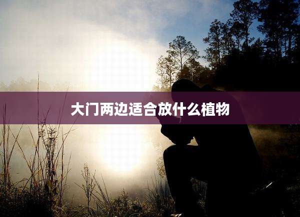 大门两边适合放什么植物