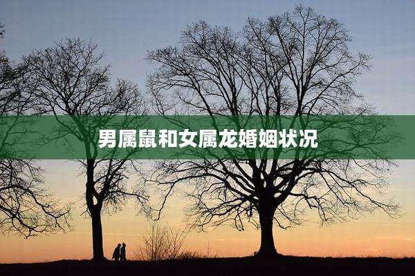 男属鼠和女属龙婚姻状况