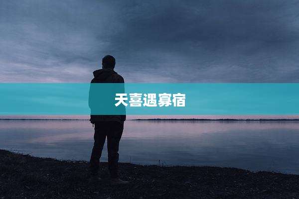 天喜遇寡宿