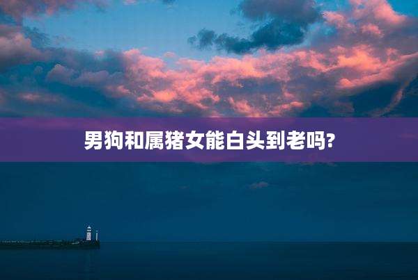 男狗和属猪女能白头到老吗?
