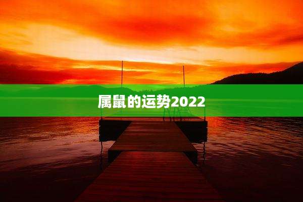属鼠的运势2022