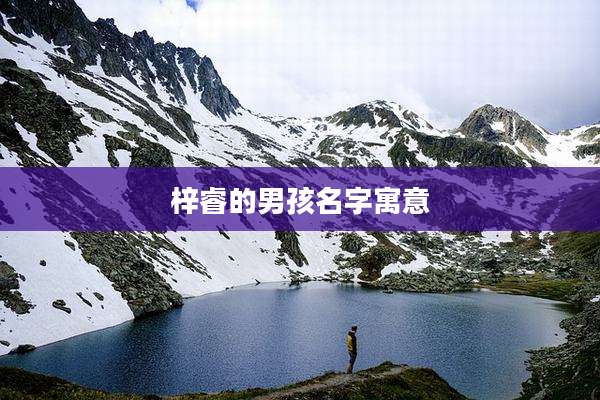 梓睿的男孩名字寓意