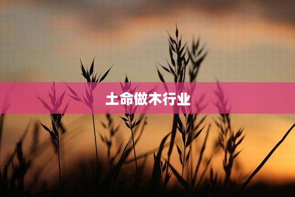 土命做木行业