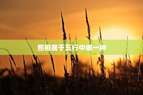 照相属于五行中哪一种