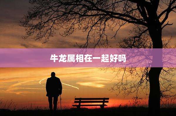 牛龙属相在一起好吗
