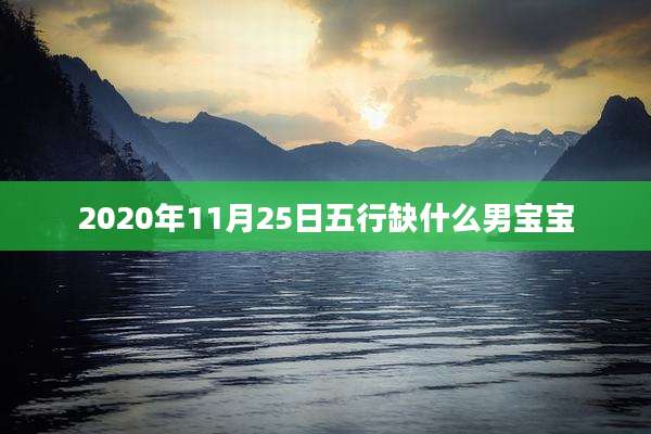 2020年11月25日五行缺什么男宝宝