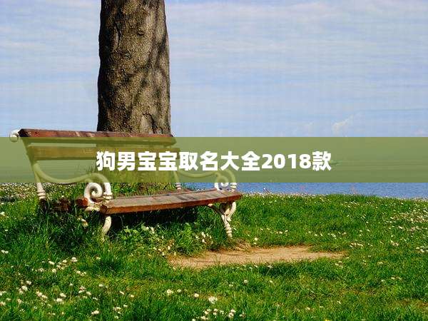 狗男宝宝取名大全2018款