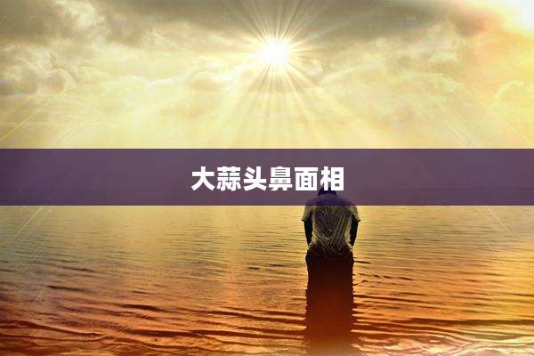 大蒜头鼻面相