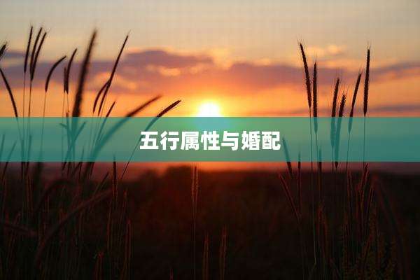 五行属性与婚配