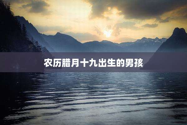 农历腊月十九出生的男孩