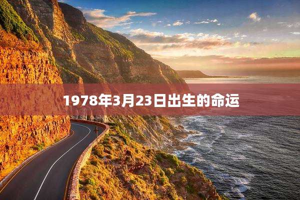 1978年3月23日出生的命运