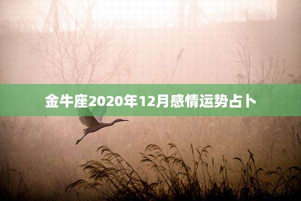 金牛座2020年12月感情运势占卜