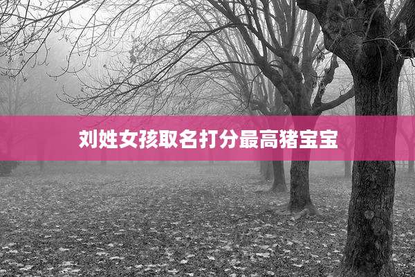 刘姓女孩取名打分最高猪宝宝