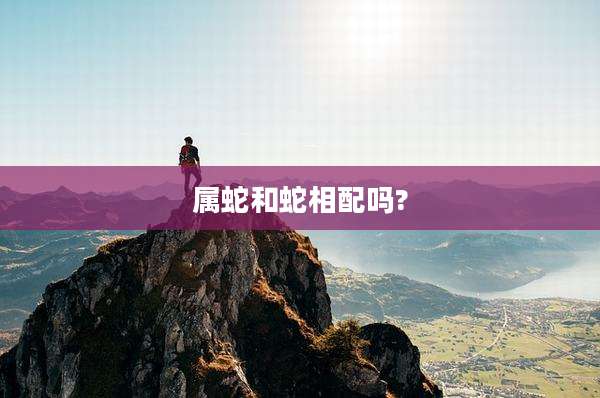 属蛇和蛇相配吗?