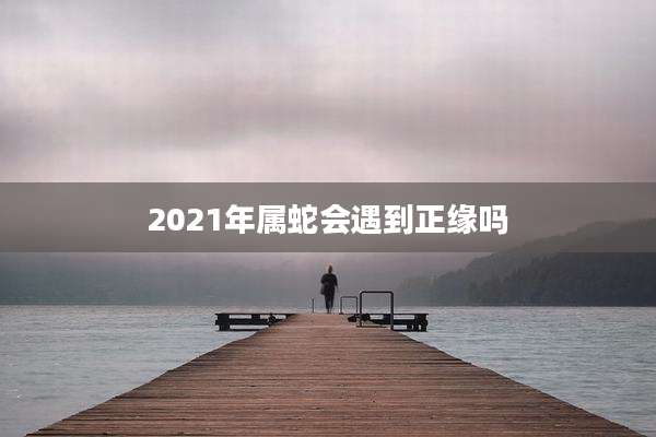 2021年属蛇会遇到正缘吗