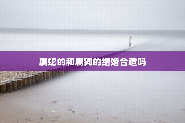 属蛇的和属狗的结婚合适吗