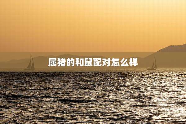 属猪的和鼠配对怎么样