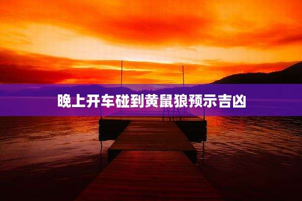 晚上开车碰到黄鼠狼预示吉凶
