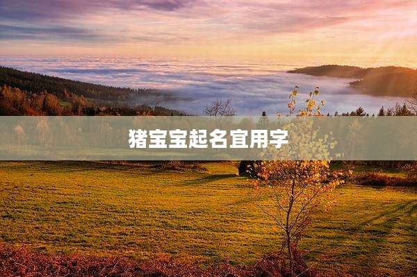 猪宝宝起名宜用字