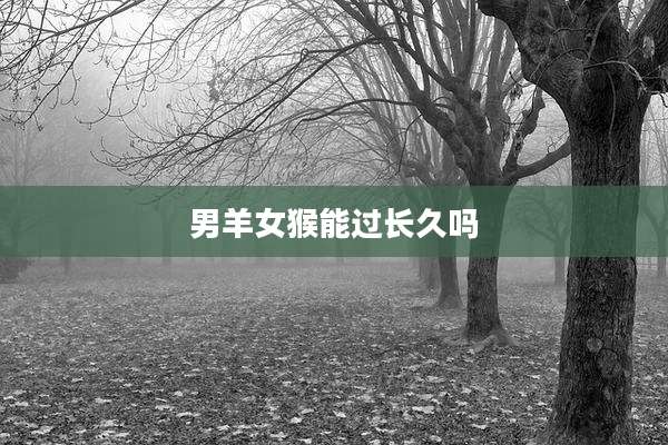男羊女猴能过长久吗